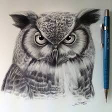 We did not find results for: Realistic Pencil Drawn Owl Tattoo Design By Lethal Chris Tattooimages Biz