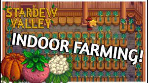 But, before you start hunting for them you'll need to. Mega Cactus Fruit Farm New Content Stardew Valley 1 3 Update Youtube