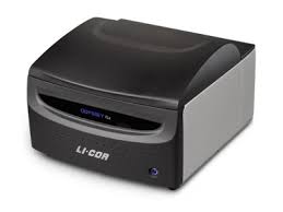 Chemiluminescence Imaging Systems Biocompare Com