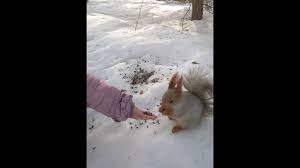 Check spelling or type a new query. Karkaralinsk Do Shahter Youtube