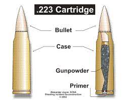 The bullet weight can range from 0.02 to 0.2 kg depending on the gun caliber and type. The Beltway Sniper Alexander Jason Crime Scene Analyst