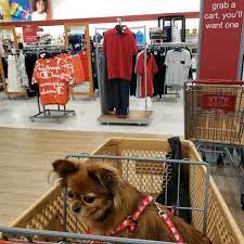 The majority of locations within the city have fairly good access to public green spaces, including alligator creek conservation and recreation area and. T J Maxx Department Store In Venice