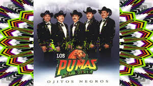 Corridos verdaderos please retry amazon music unlimited: Agujero Donacion Ofensa Ojitos Negros Los Pumas Del Norte Ambicioso Plaga Camarera
