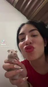 I Rhyme Stuart Little