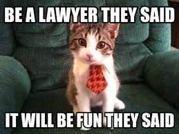 We prefer that if you post photos, it be of your own cat(s) or one(s) you 8. Lawyer Cat Memes