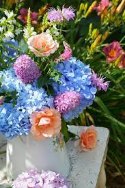 Floral Friday Pitcher Perfect Garden Blooms Floral Flower Therapy Flower Arrangements
