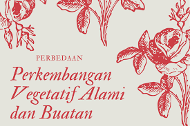 Check spelling or type a new query. Perbedaan Perkembangan Vegetatif Alami Dan Buatan Halaman All Kompas Com