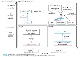 This article summarizes expert consensus guidelines from the global initiative for chronic obstructive lung disease (gold) for nonpharmacologic and pharmacologic interventions for patients with. Gold Combined Copd Assessment Time Of Care