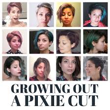 Pin On Hairs