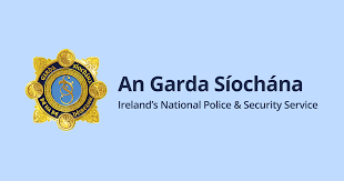 Garda vetting how to apply for garda vetting how long does garda vetting last? Garda Vetting Garda