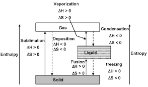 Solved Lab Experiment: Molar Mass And Freezing Point | Chegg.Com