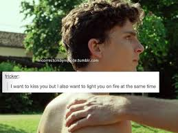 Pin By Anna On Timothee Chalamet I Call You Your Name Movie Novel Movies