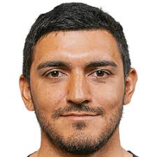 Fedor Predragovic FM 2021 Profile, Reviews