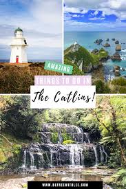 7 Incredible Things To Do In The Catlins The Ultimate Southland Escape Befreewithlee In 2020 Oceania Travel New Zealand Travel Australia Travel