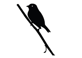Bird On Branch Silhouette Png Sitting Bird Silhouette Sitting Birds Silhouette Png Sparrow Silhouette Vector Bird Silhouette Silhouette Vector Silhouette Png
