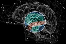 The brain & behavior research foundation has awarded more than $175 million to schizophrenia research since 1987. Brain Activity Pattern May Be Early Sign Of Schizophrenia Mit News Massachusetts Institute Of Technology