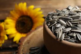 Towering heirloom is one of the oldest, most beloved sunflower varieties. Salt N Roast Sunflower Premium Garden Seeds Hoss Tools