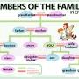 Family members from www.vocabulary.cl