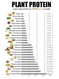 Plant Protein Vegan Yummy Essentials Vegan Nutrition High Protein Recipes Protein Foods List