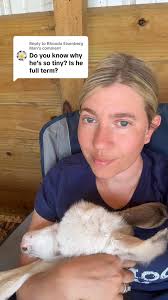 Willie is ready for the pool 😎