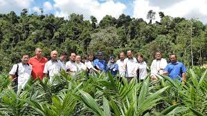 Koperasi menggangotai angkatan koperasi kebangsaan malaysia berhad (angkasa) pada 28 februari 2007. Batang Tinjar Ii Plantation Koperasi Serbaguna Malaysia Berhad Ksm