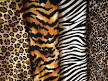 Animal Print Quilting Fabrics - Discount Designer Fabric - m