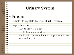If you're wondering how much water you should drink on those occasions, speak with your doctor, but a general rule of thumb for too much caffeine can give you the jitters or keep you from sleeping. Normal Urine Output Per Hour In Elderly