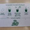 Don't forget to include instructions on how to plant out the seed paper. 3