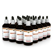 Image result for Brucea