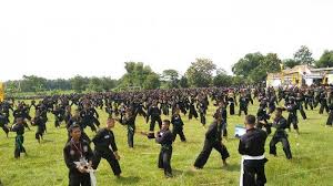 Untuk mendapatkan contoh jurus kunci psht kita harus melakukan suatu kegiatan yaitu ikut latihan sh. 2 250 Murid Psht Ikuti Tes Kenaikan Tingkat Kakek Ini Masih Semangat Mengikuti Halaman All Tribun Jateng