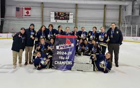 Local roundup: Will C. Wood High School baseball team routs Armijo