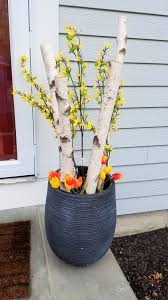 Forsythia And Tulips Curb Appeal Pot By Tahari Curb Appeal Planter Pots Pot