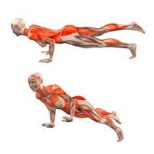 Staff Pose With Right Leg Up Trianga Dandasana Right Yoga Poses Yoga Com Anatomia De Yoga Estiramientos De Yoga Posturas De Yoga