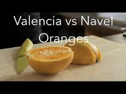 The 'valencia' was first found in the azores and is considered of portuguese origin. Valencia Oranges Vs Navel Oranges The Fruitguys Youtube