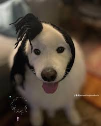 Juntos vamos ala playa 🏝️ #playa #juntos #greattimes #lifeisgood