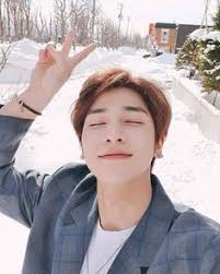 ไอเดีย Hangyul 100 รายการ