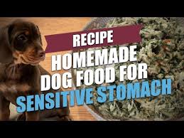 homemade dog food for sensitive stomach