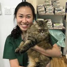 Veterinary clinic for low income pet owners. 21 Best Vets In Singapore Includes 24 Hour And Mobile Vets