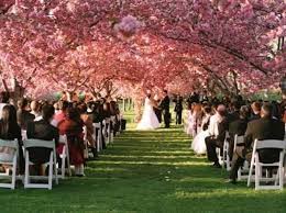 Bride On A Budget 20 Free Or Cheap Places To Get Married 2014 Coupon Karma Places To Get Married Outdoor Wedding Destinations Free Wedding Venues