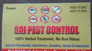Nikhil khanse (general manager) 27/163, shree apartment, 1st floor, near kotbagi. Saipestcantrol Pest Control Service In Pune