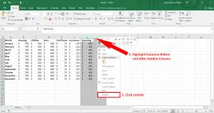 How To Hide And Unhide Columns In Excel German Pearls Excel Column Excel Spreadsheets