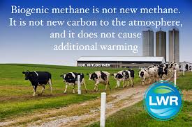 livestock water recycling