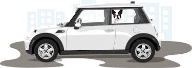 Image result for pet travel pics