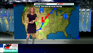 What librarians can learn from weather channel people – The Library Lab