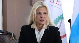 Κατ' αρχάς θέλω να πω ότι για εμένα σήμερα είναι μια ιδιαίτερη, συγκινησιακά φορτισμένη μέρα. Marina Patoylh H Prwth Dhmosia Emfanish Meta Thn Krish Sto Gamo Ths Kai To Problhma Ygeias Poy Antimetwpise Fay S Book