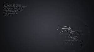 It is surprising how many people are interested in learning how to hack. Kali Linux Wallpapers Top Free Kali Linux Backgrounds Wallpaperaccess