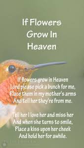 Image Result For Hummingbird Poem Death Funeral Poems Hummingbird Quotes Uplifting Poems