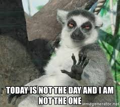 Today Is Not The Day And I Am Not The One Not Today Lemur Funny Animal Quotes Funny Animal Pictures Funny Animals