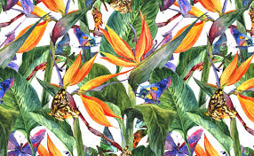 Scandinavian inspired navy floral peel and stick wallpaper; Tropical Floral Pattern Wallpaper