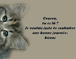 Résultat de recherche d'images pour "bonne journée humour"